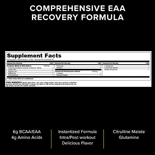 Animal Juiced Aminos - 6g BCAA/EAA Matrix Plus 4g Amino Acid Blend for Recovery and Improved Performance - Grape- 30 Servings, 13.58 Ounce