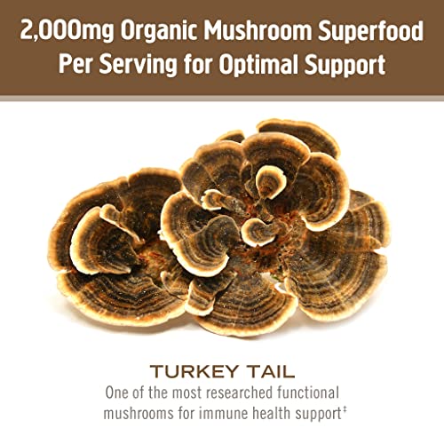 Om Mushroom Superfood Turkey Tail Organic Mushroom Powder Pouch, 7.05 Ounce, 100 Servings, Immune Support, Polysacchrides, Beta-Glucans, Gut Health & Holistic Defense Mushroom Supplement