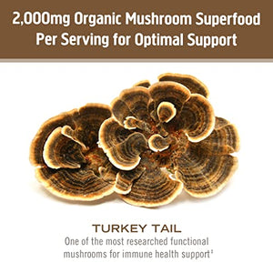 Om Mushroom Superfood Turkey Tail Organic Mushroom Powder Pouch, 7.05 Ounce, 100 Servings, Immune Support, Polysacchrides, Beta-Glucans, Gut Health & Holistic Defense Mushroom Supplement