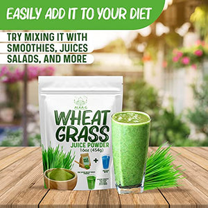 ALKA-G Wheat Grass Powder 16 Oz | Organic Wheat Grass Green Superfoods Powder Sustainably Grown in Indian | Instant Juice Powder Resealable Pack of 1