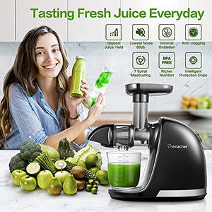 amzchef Masticating Juicer, Slow Juicer Extractor, Cold Press Juicers with Quiet Motor/Reverse Function, Slow Masticating Juicer Machines with Brush, for High Nutrient Fruit & Vegetable Juice