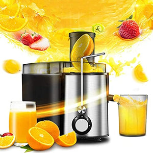 WXLBHD Juicer Machines, Slow Masticating Juicer Extractor, Quiet Motor, Cold Press Juicer, Slow Juicer Machines for Vegetable and Fruit