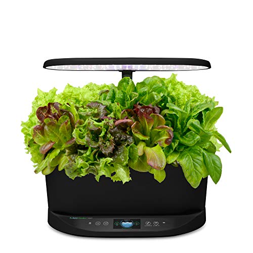 AeroGarden Black Bounty Indoor Hydroponic Garden