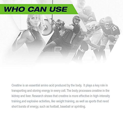 PVL Essentials 100% Pure Pharmaceutical Grade Creapure Creatine, 410 g