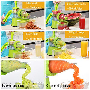 Manual Masticating Juicer - Household Hand Juicer Multifunction Fresh Fruit Extractor Kitchen Tool Mashed Press Fruit Vegetable Wheatgrass Juicer Manual Juicer