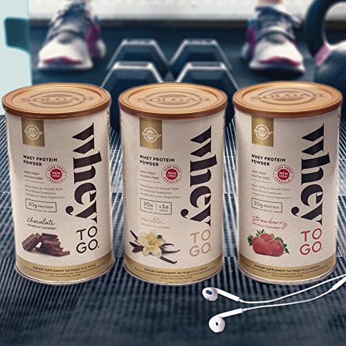 Whey To Go Protein Powder Natural Chocolate Cocoa Bean Flavor By Solgar - 41 oz