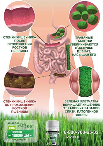 RAW Wheat Grass Pressed Sprouts 300 Capsules - Vegan Nutritional Supplement - Contain Record Number of Vitamins