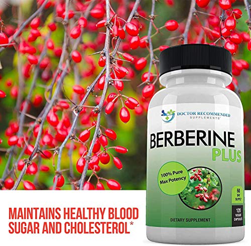 Berberine Plus 1200mg Per Serving - 120 Veggie Capsules Royal Jelly, Supports Glucose Metabolism, Healthy Immune System, Improves Cardiovascular Heart & Gastrointestinal Wellness