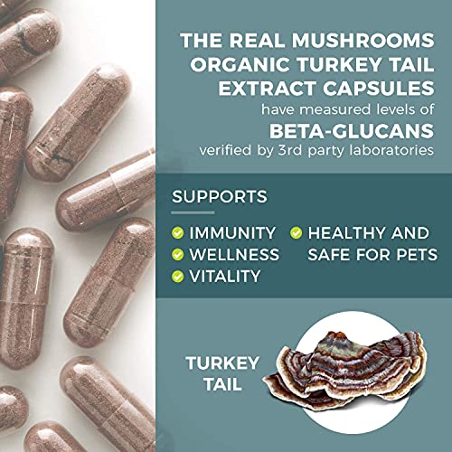 Real Mushrooms Turkey Tail Mushroom Supplements for Immune Support, Wellness, & Vitality | Vegan, Non-GMO Turkey Tail Capsules (90 Capsules / 45 Day Supply)