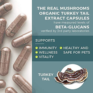 Real Mushrooms Turkey Tail Mushroom Supplements for Immune Support, Wellness, & Vitality | Vegan, Non-GMO Turkey Tail Capsules (90 Capsules / 45 Day Supply)