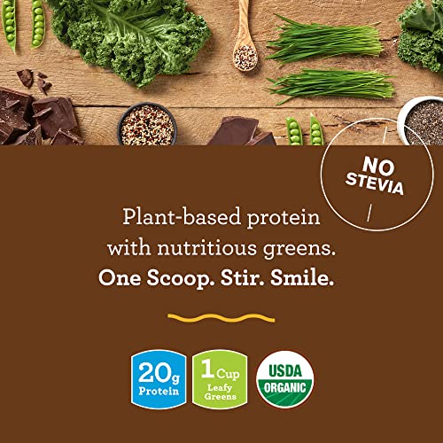 Amazing Grass Vegan Protein & Kale Powder: 20g of Organic Protein + 1 Cup Leafy Greens per Serving, Chocolate, 15 Servings