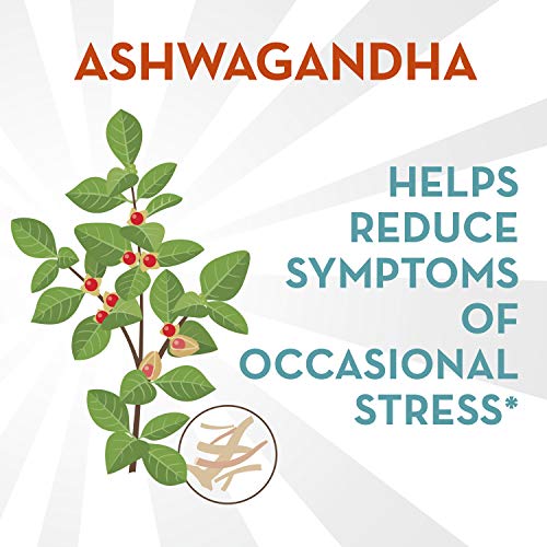 Align Probiotic, Digestive De-stress, Probiotic with Ashwagandha, which Helps with a healthy response to stress, Berry Flavor, 50 Gummies