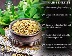 AYURVEDASHREE Fenugreek Seeds Powder 200 Gm I Trigonella foenum-graecum Sd. | Methi Powder | Spice Indian Cuisine | Hair Care | Improves Digestion