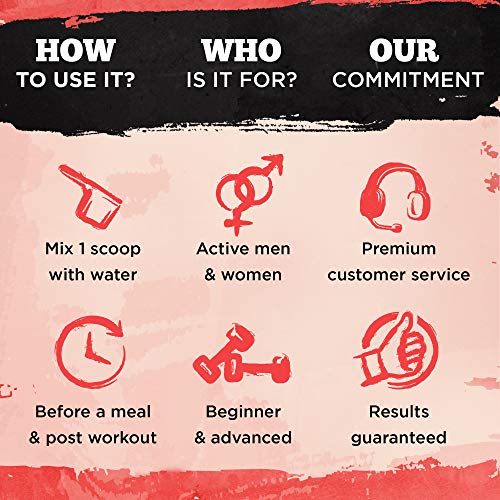 VINTAGE BUILD Post Workout BCAA, Creatine, L-Glutamine - The Essential 3-in-1 Muscle Building Recovery Powder for Men and Women (Fresh Berries) - Keto Friendly - 377 Grams - 30 Servings