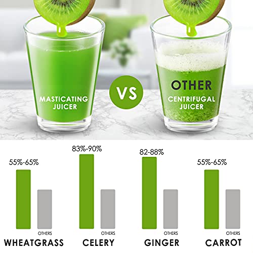 Slow Masticating Juicer, Cold Press Juicer Machine Easy to Clean, Higher Juicer Yield and Drier Pulp, Juice Extractor with Quiet Motor and Reverse Function, BPA-Free, with Recipes