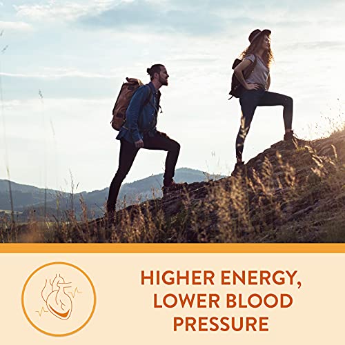 Quercetin Zinc Supplement – Immune Support Wellness Formula - Quercetin with Vitamins C and Zinc & D3 – Immunity Booster Herbal Supplement to Improve Respiratory Health, Immune Defense & Energy