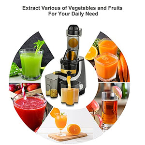 HIZQ Juicer Machine, Slow Masticating Juicer, Wide-Groove Slow Chewing Juicer for High-Nutrient Fruit And Vegetable Juice Cold-Pressed Juicer BPA-Free, Easy To Clean