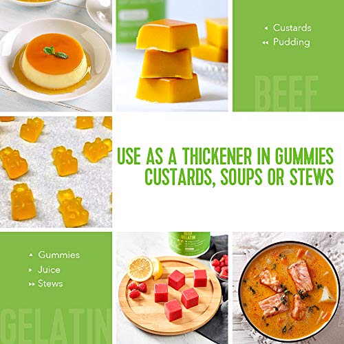 Vital Proteins Beef Gelatin : Pasture-Raised, Grass-Fed, Non-GMO (16.4 oz) - Gluten free, Dairy free, Sugar free, Whole30 Approved, and Paleo friendly