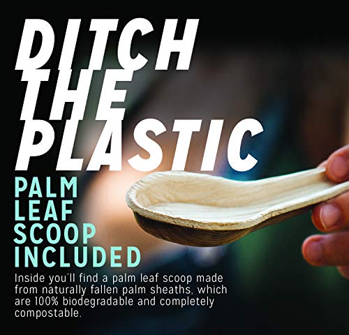 Vegan Green & Red Alkalizing Superfood by fitppl | Organic Ingredients Camu, Chlorella, Spirullina, Moringa for Immune Support | Eco-friendly, Stevia & Gluten Free Keto-Friendly Supplement 20 Servings