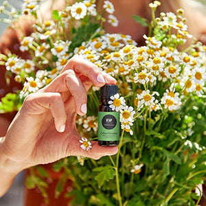 Edens Garden Hemp Essential Oil, 100% Pure Therapeutic Grade (Undiluted Natural/ Homeopathic Aromatherapy Scented Essential Oil Singles) 30 ml