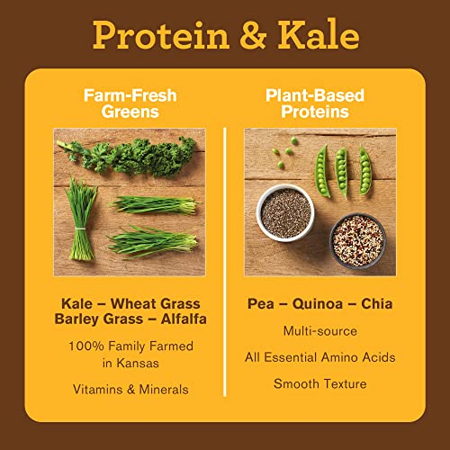 Amazing Grass Vegan Protein & Kale Powder: 20g of Organic Protein + 1 Cup Leafy Greens per Serving, Chocolate, 15 Servings