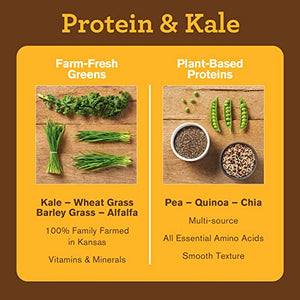 Amazing Grass Vegan Protein & Kale Powder: 20g of Organic Protein + 1 Cup Leafy Greens per Serving, Chocolate, 15 Servings