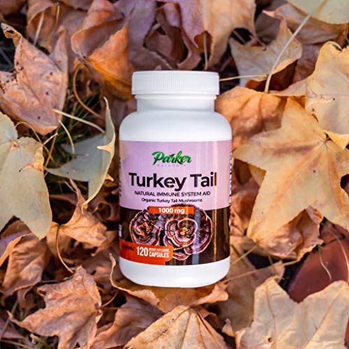 Premium Organic Turkey Tail Mushroom Capsules by Parker Naturals Supports Immune System Health. Nature's Original Superfood. 120 Capsules …