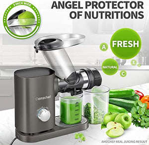 AMZCHEF Slow Juicer Machines Slow Masticating Juicer Cold Press Juicer Vegetables&Fruits Extractor 3'' Large Feed Chute Non-porous Filter Easy Clean& Quite 2 Speeds Jug Brush BPA-Free (Sliver Grey)