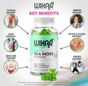 Wixar Naturals Sea Moss Gummies - Natural Irish Sea Moss and Bladderwrack with Burdock Gummy - 60 Gummies - Vegan - Thyroid, Healthy Skin, Keto Detox, Gut, Joint Support Alkaline Supplements