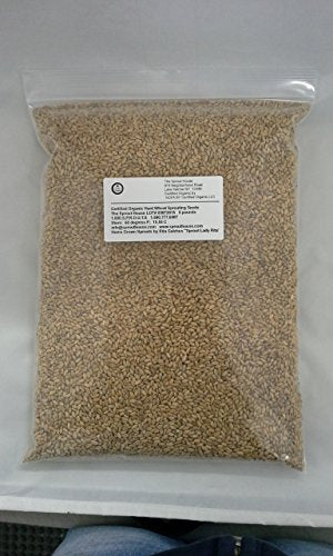 The Sprout House Non-GMO Certified Organic Hard Wheat Berries for Wheatgrass Juice - 5 Pounds Wheatgrass; Grind Into Whole Wheat Flour; Pet Grass; Cat Grass; Ornamental Grass for Decorating; Ornamental Wheatgrass