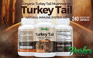 Premium Organic Turkey Tail Mushroom Capsules by Parker Naturals Supports Immune System Health. Nature's Original Superfood. 240 Capsules …