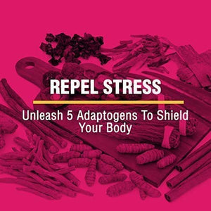 Vava, 5 Adaptogens, Lion's Mane, Memory, Mood, Longevity, Daily Detox, Nerve Health. KSM-66, Bacopa, Rhodiola, Ginkgo, Ginger, Creatine - 2,200mg