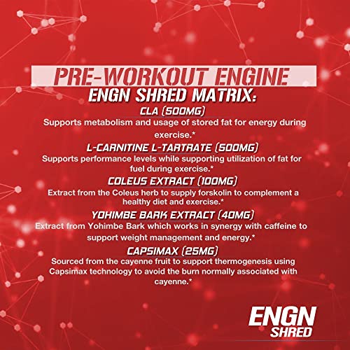 Evlution Nutrition ENGN Shred Pre Workout Powder, Energy, 30 Servings (Fruit Punch)