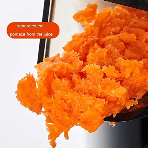 QIN Slow Masticating Extractor Easy to Clean Cold Press Juicer, with Reversal Function,BPA-free Masticating Juicer with Juice Jug
