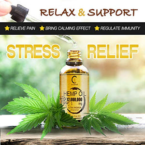 (2 Pack) 12000000MG Hemp Oil Extract for Stress Relief and Better Sleep - Aceite de Cáñamo, Immune Support - Best Pure Natural Organic Hemp Oil Extract - Rich in Omega 3-6-9, Non-GMO