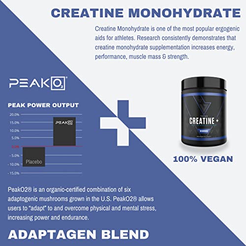 Vedge Nutrition Creatine + | Vegan Plant-Based Creatine Monohydrate Powder | Energy, Performance & Function | Ergogenic Aids for Athletes | Unflavored, 30 Servings