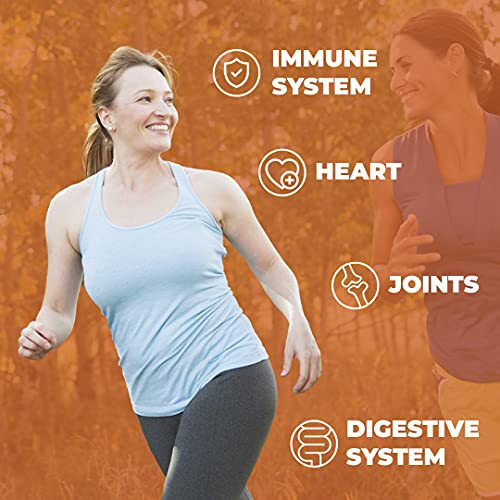 Turmeric Curcumin with BioPerine Black Pepper Extract 1200mg - Natural Joint & Immune Support with 95% Curcuminoids. High Absorption Antioxidant Vegan Supplement. Inflammatory and Immune Response