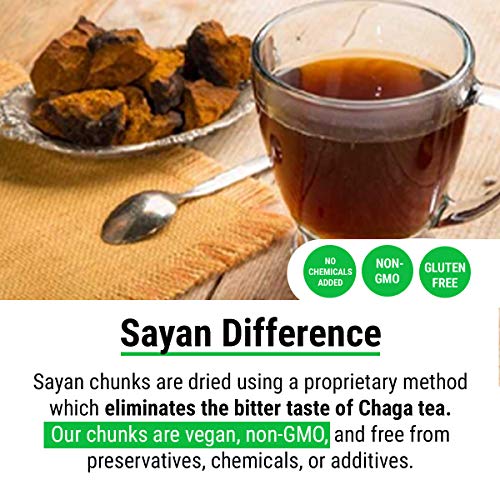 Sayan Siberian Pure Raw Chaga Mushroom Chunks with Black Top Crust 1 Lb / 454 g – Premium Wild Forest Harvested Super Antioxidant Tea, Supports Immune System, Heart & Liver Health