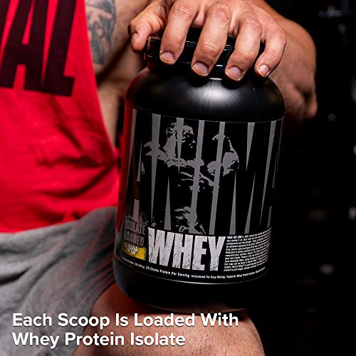 Animal Whey Isolate Whey Protein Powder, Isolate Loaded for Post Workout and Recovery, Low Sugar with Highly Digestible Whey Isolate Protein, 2 lbs, Banana Cream, 2 Pound, 32 Oz