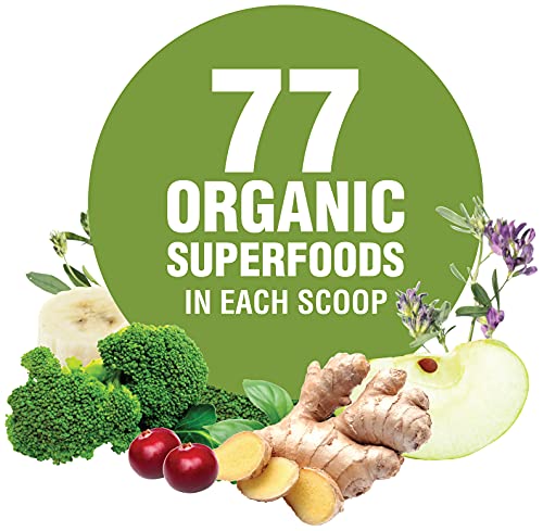 Terra Kai Organics JUCE Greens Superfood Drink Mix - Harvest Apple Flavor - 40 Servings - Fruits & Vegetables for Immune Boost, Detox & Cleanse, Improve Gut Health (17.44 Ounce, Pack of 2)