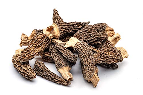 Slofoodgroup Dried Morel Mushrooms (Morchella Conica) Gourmet Morel Mushrooms (15 Morel Mushrooms)