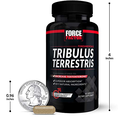 Tribulus Terrestris for Men, Testosterone Booster and Male Vitality Supplement, Tribulus Extract and Natural Ingredients for Superior Absorption, Fundamental Series, 1000mg, Force Factor, 60 Capsules