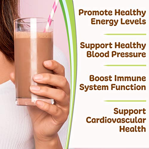 Coco Complete by New Vitality – Immune System and Metabolism Boosting Superfood Powder Supplement, Energy Support, Sugar Free, Real Cocoa Powder & Green Tea Extract, Chocolate Flavor, 30 Servings