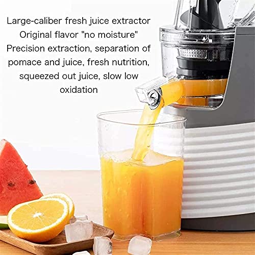 XUERUIGANG Slow Masticating Juicer Extractor, 3.15 Inches Wide Chute Cold Press Juicer for Easy Juice and Clean, High Juice Yield for Fruit (white)