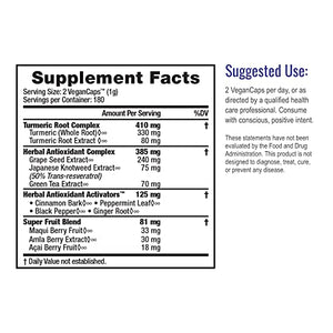 HealthForce SuperFoods Antioxidant Extreme - 360 VeganCaps - All Natural Turmeric Root Complex - Supports Immune & Cognitive Functions - Kosher & Gluten Free - 180 Servings