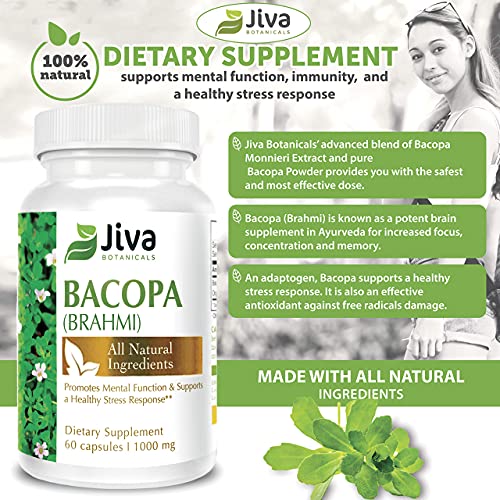 Bacopa Monnieri Brahmi Capsules 1000mg - All Natural Brain Booster Supplement for Focus, Memory, Clarity - Made in USA, Non GMO - High Potency & Purity Bacopa Extract - Jiva Botanicals