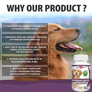 Mushroom Complex for Dogs - Immune Support for Dogs, Digestive Support, Dog Hip and Joint Health - with Turkey Tail, Lion's Mane, Shiitake, Maitake, Milk Thistle + Vitamins - 120 Chewable Tablets