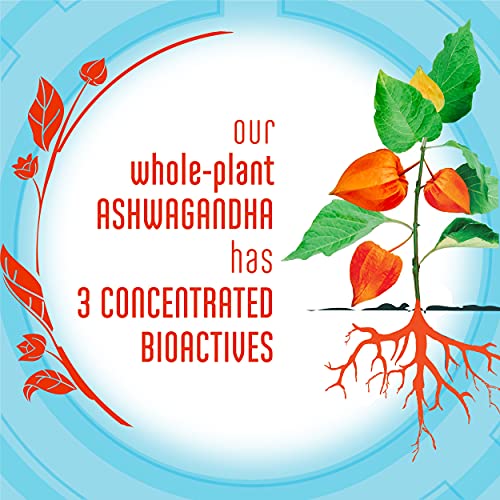 Stressballs De-Stress Mind + Body for Stress Relief Digestive Support Supplement, 50 Gummies