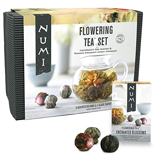 AeroGarden Bounty Elite - Indoor Garden, Stainless Steel & Numi Organic Tea Flowering Tea Gift Set, 6 Tea Blossoms with 16 Ounce Glass Teapot in Elegant Bamboo Case (Packaging May Vary)