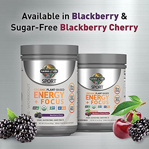 Garden of Life Sport Organic Plant-Based Energy + Focus Pre Workout Powder Packets, BlackBerry Flavor - Clean Preworkout with 85mg Caffeine, Natural NO Booster B12 Vegan Gluten Free Non-GMO 12ct Tray